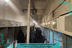 بازدید علمی جمعی از دانشجویان دانشگاه از باغ موزه قصر