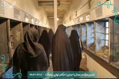 بازدید علمی جمعی از دانشجویان دانشگاه از باغ موزه قصر
