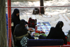 اردوی دخترانه دانشجویی دانشگاه بین الملل مذاهب اسلامی، بمناسبت دهه کرامت و هفته سراهای دانشجویی- خرداد ۱۴۰۳